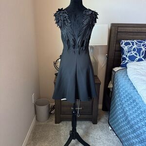 Elegant sexy Halloween Black Feathered Dress